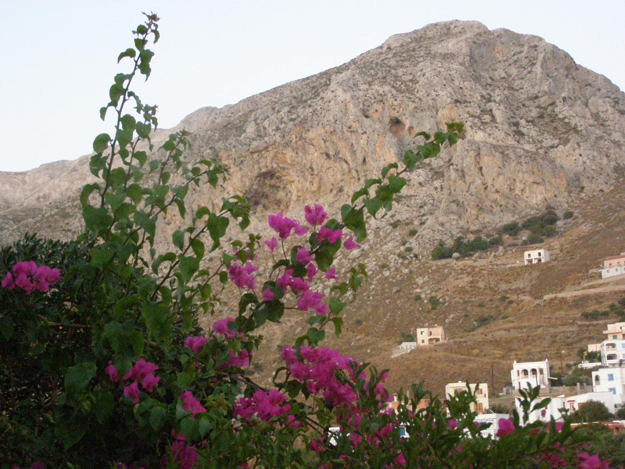 Studios Aeolos Kalymnos Myrties Exteriör bild