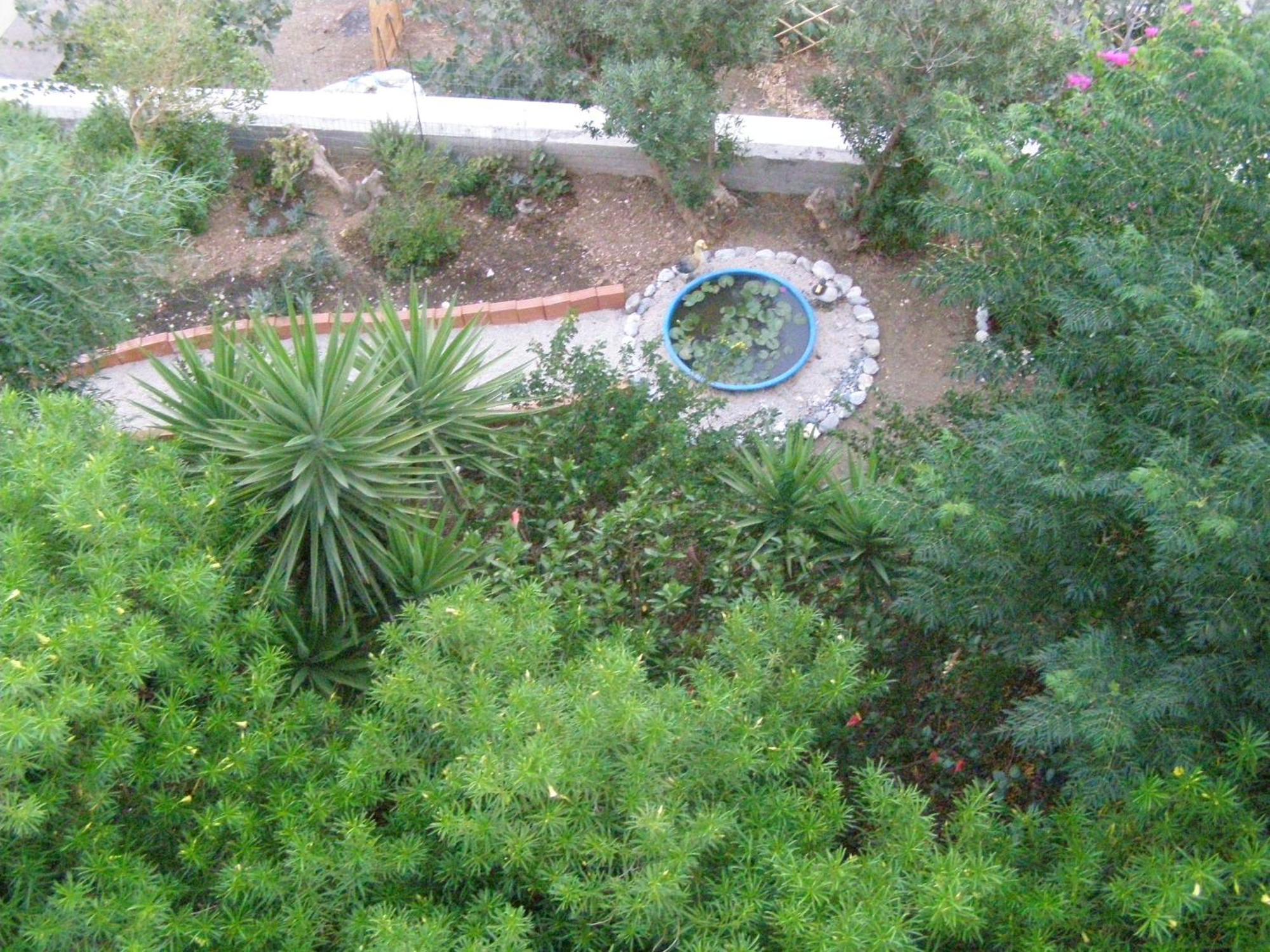 Studios Aeolos Kalymnos Myrties Exteriör bild